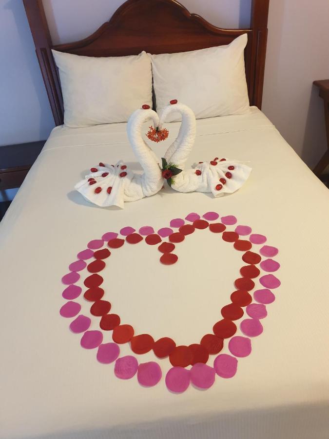 Palm Bay Guest House & Restaurant 몬테고 베이 외부 사진